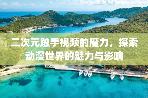 二次元触手视频的魔力，探索动漫世界的魅力与影响