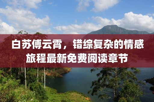 白苏傅云霄，错综复杂的情感旅程最新免费阅读章节