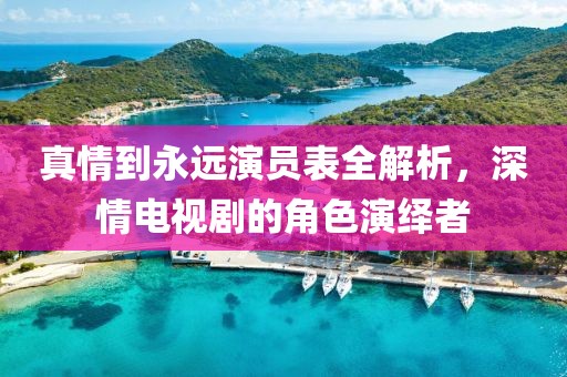 真情到永远演员表全解析，深情电视剧的角色演绎者