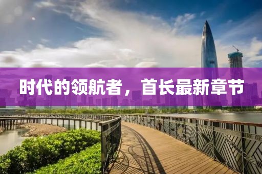 时代的领航者，首长最新章节