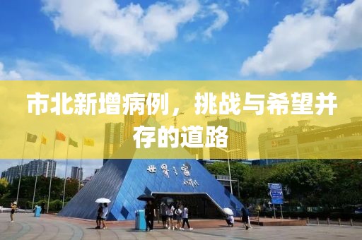 市北新增病例，挑战与希望并存的道路