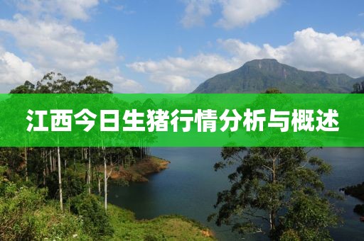 江西今日生猪行情分析与概述