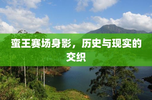 蛮王赛场身影，历史与现实的交织