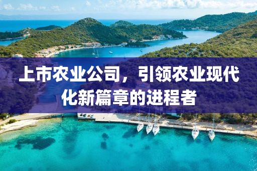 上市农业公司，引领农业现代化新篇章的进程者