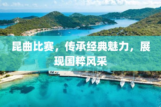 昆曲比赛，传承经典魅力，展现国粹风采