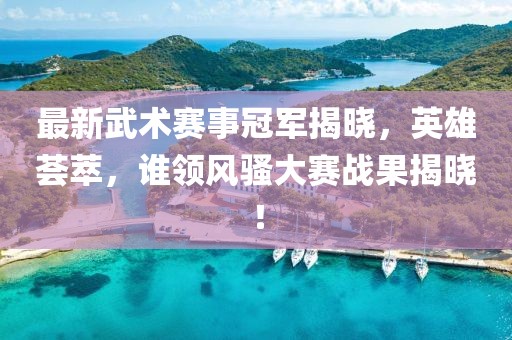 最新武术赛事冠军揭晓，英雄荟萃，谁领风骚大赛战果揭晓！