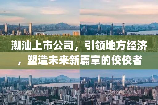 潮汕上市公司，引领地方经济，塑造未来新篇章的佼佼者