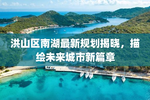 洪山区南湖最新规划揭晓，描绘未来城市新篇章
