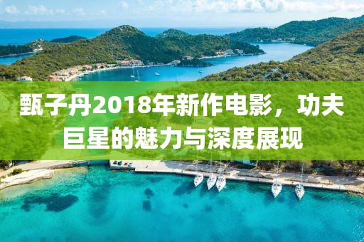 甄子丹2018年新作电影，功夫巨星的魅力与深度展现