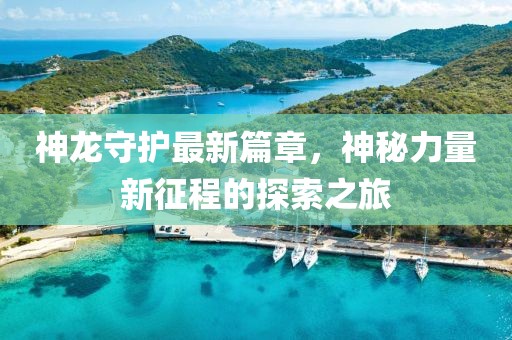 神龙守护最新篇章，神秘力量新征程的探索之旅