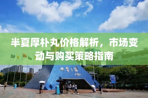 半夏厚朴丸价格解析，市场变动与购买策略指南