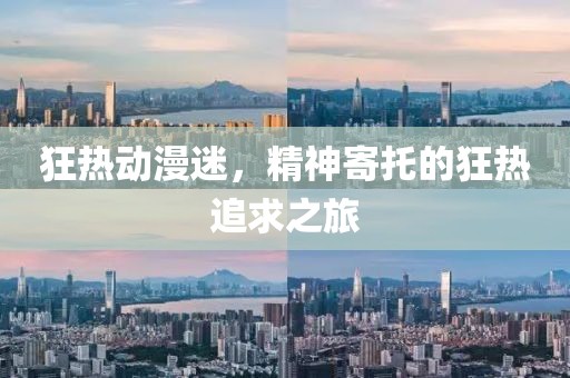 狂热动漫迷，精神寄托的狂热追求之旅