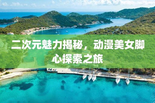 二次元魅力揭秘，动漫美女脚心探索之旅