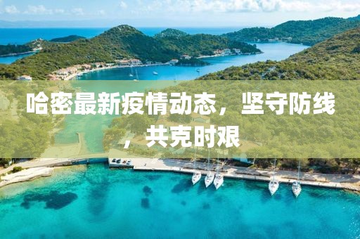 哈密最新疫情动态，坚守防线，共克时艰