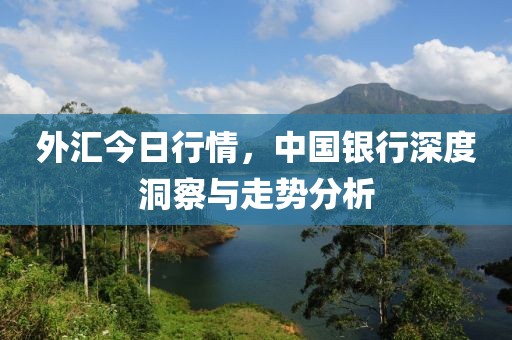 外汇今日行情，中国银行深度洞察与走势分析