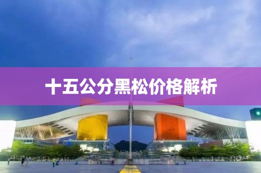 十五公分黑松价格解析
