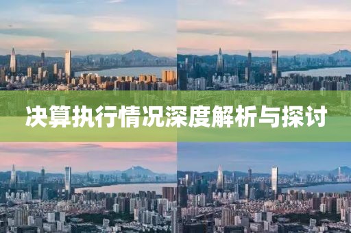 决算执行情况深度解析与探讨