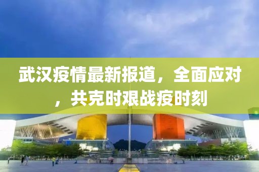 武汉疫情最新报道，全面应对，共克时艰战疫时刻