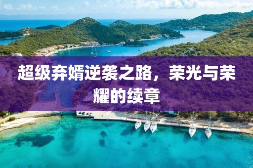 超级弃婿逆袭之路，荣光与荣耀的续章