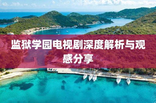 监狱学园电视剧深度解析与观感分享