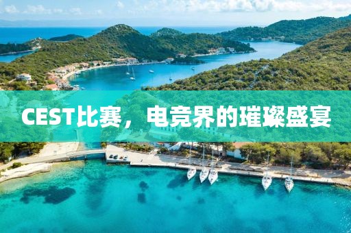 CEST比赛，电竞界的璀璨盛宴