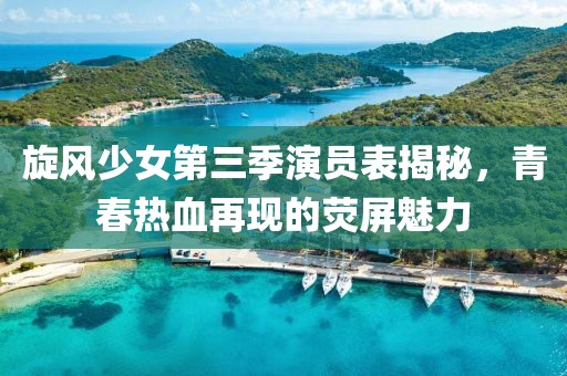 旋风少女第三季演员表揭秘，青春热血再现的荧屏魅力