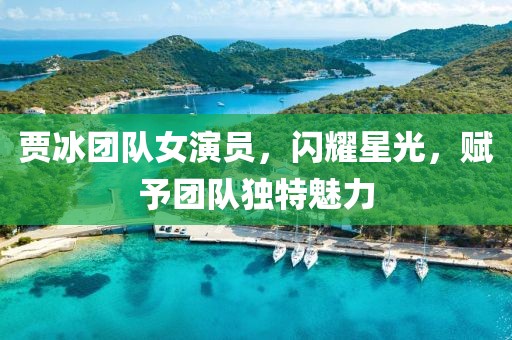 贾冰团队女演员，闪耀星光，赋予团队独特魅力
