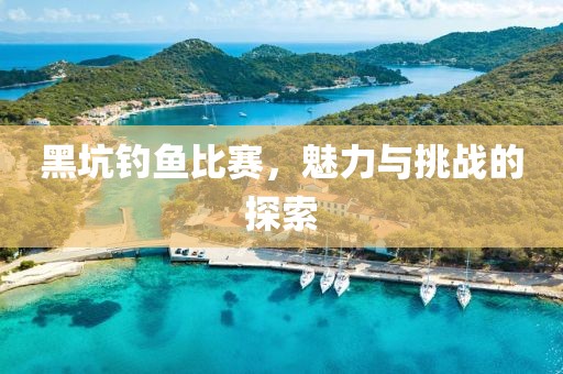 黑坑钓鱼比赛，魅力与挑战的探索