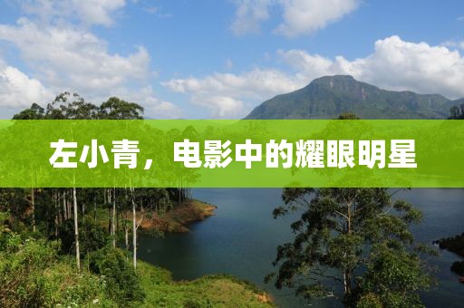 左小青，电影中的耀眼明星