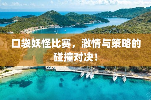 口袋妖怪比赛，激情与策略的碰撞对决！
