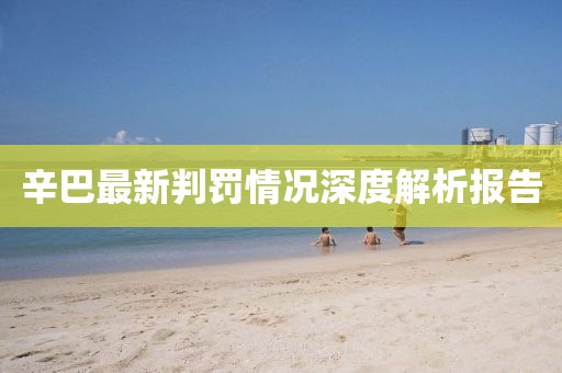 辛巴最新判罚情况深度解析报告