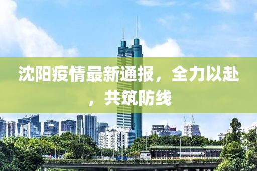 沈阳疫情最新通报，全力以赴，共筑防线