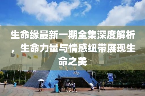 生命缘最新一期全集深度解析，生命力量与情感纽带展现生命之美