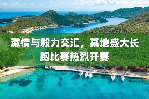 激情与毅力交汇，某地盛大长跑比赛热烈开赛