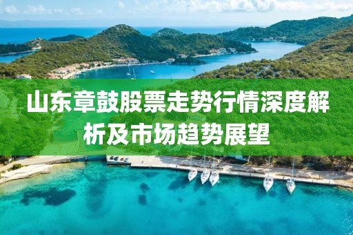 山东章鼓股票走势行情深度解析及市场趋势展望