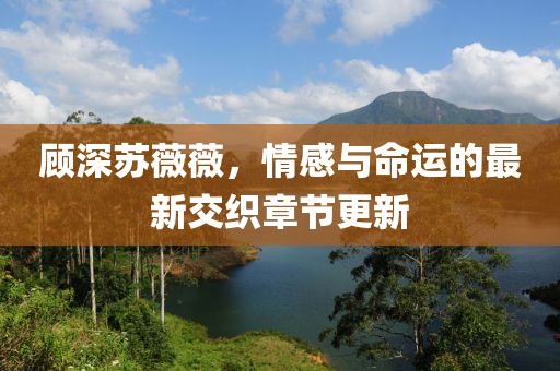 顾深苏薇薇，情感与命运的最新交织章节更新