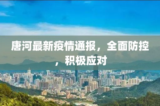 唐河最新疫情通报，全面防控，积极应对