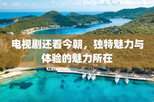 电视剧还看今朝，独特魅力与体验的魅力所在