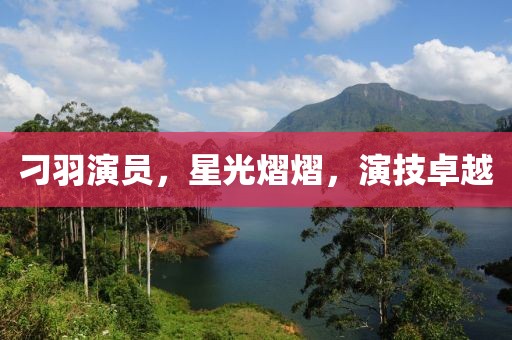 刁羽演员，星光熠熠，演技卓越