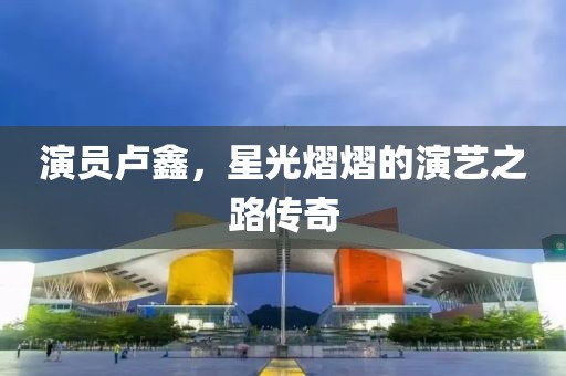 演员卢鑫，星光熠熠的演艺之路传奇