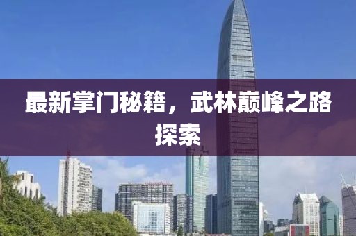 最新掌门秘籍，武林巅峰之路探索