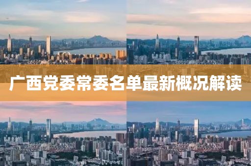 广西党委常委名单最新概况解读
