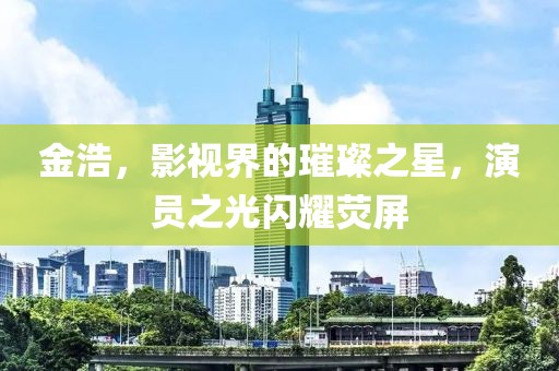 金浩，影视界的璀璨之星，演员之光闪耀荧屏