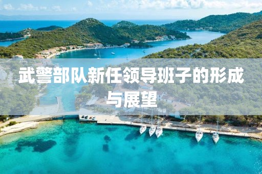 武警部队新任领导班子的形成与展望