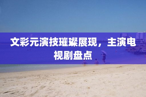 文彩元演技璀璨展现，主演电视剧盘点