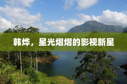 韩烨，星光熠熠的影视新星