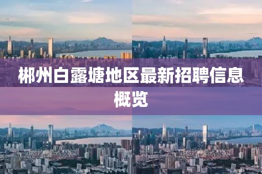 郴州白露塘地区最新招聘信息概览