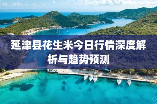 延津县花生米今日行情深度解析与趋势预测