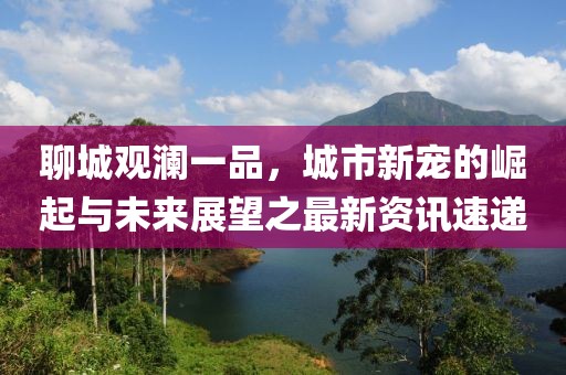 聊城观澜一品，城市新宠的崛起与未来展望之最新资讯速递