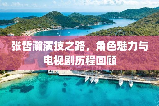 张哲瀚演技之路，角色魅力与电视剧历程回顾
